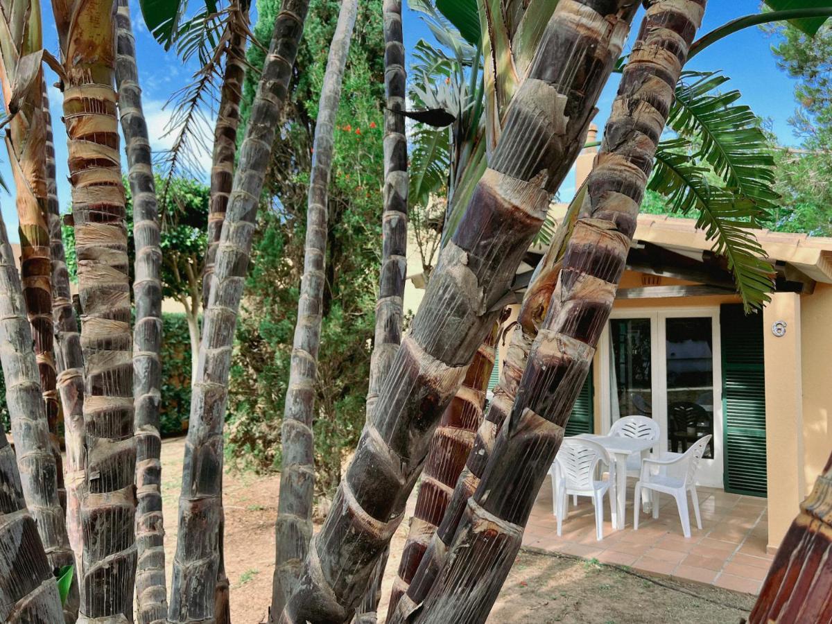 Bungalow Tropical Nº6 - Son Xoriguer Lägenhet Exteriör bild