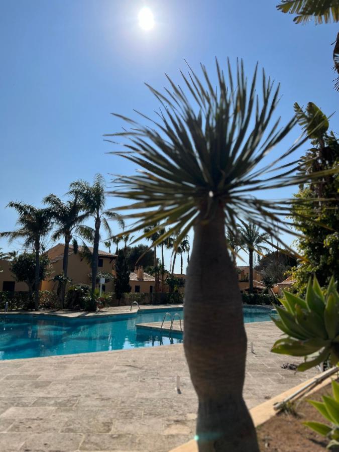 Bungalow Tropical Nº6 - Son Xoriguer Lägenhet Exteriör bild