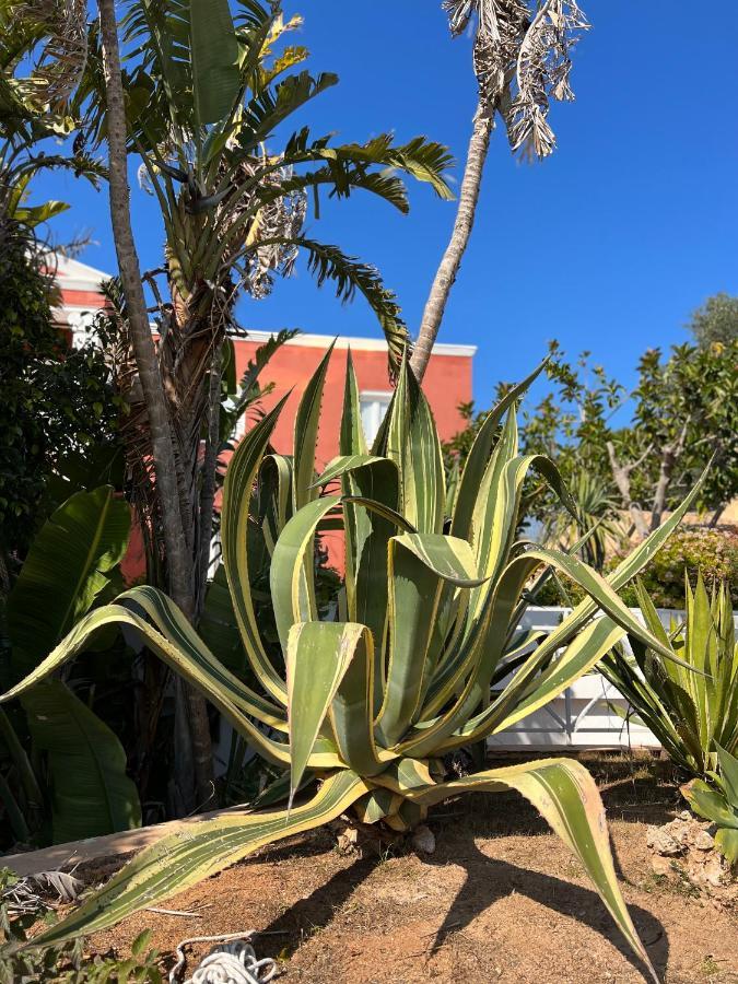 Bungalow Tropical Nº6 - Son Xoriguer Lägenhet Exteriör bild